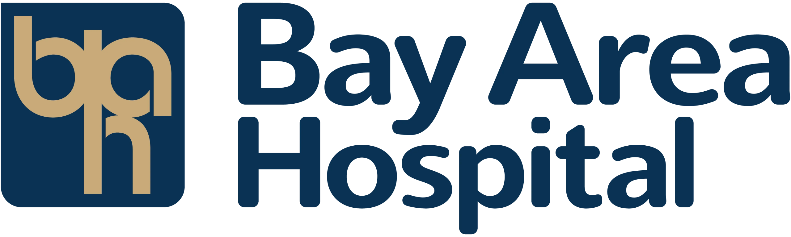 Bay_Area_Hospital_Primary_no background (002)-1