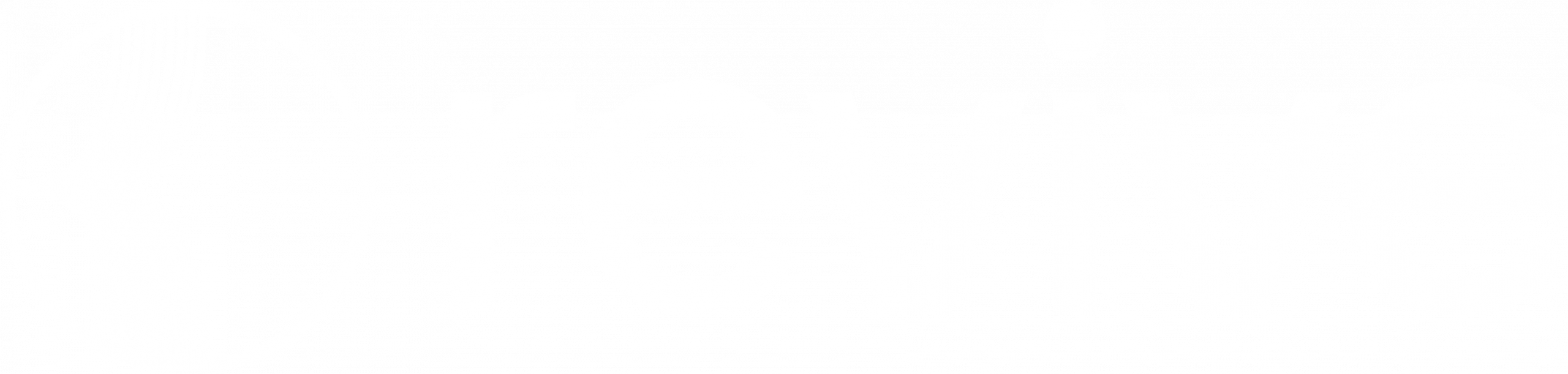 Canopy_Logo_Primary_no background (002)-1